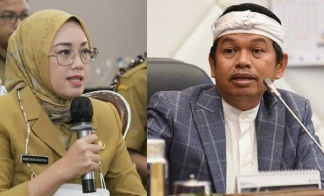 Ternyata Ini Alasan Bupati Purwakarta Anne Ratna Mustika Gugat Cerai Anggota DPR Dedi Mulyadi